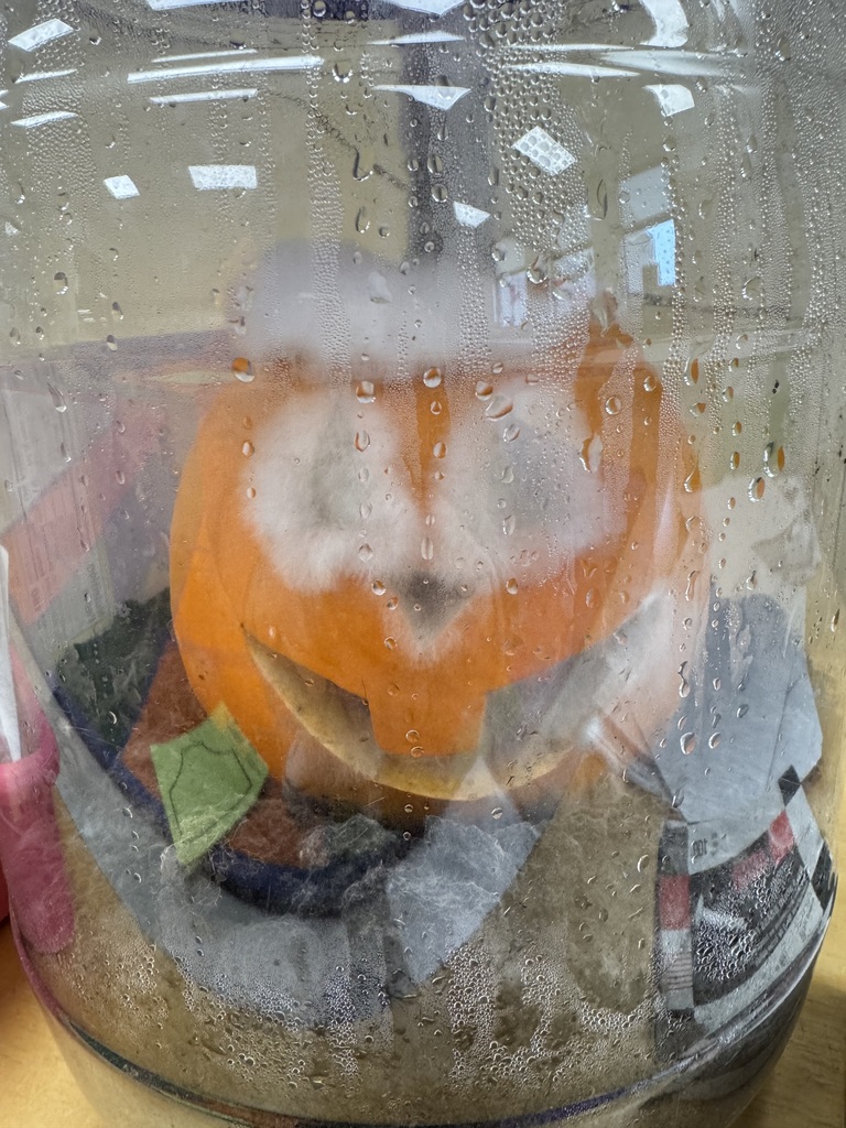 Pumpkin Jack experiment