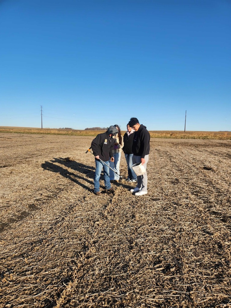 Soil sample activity