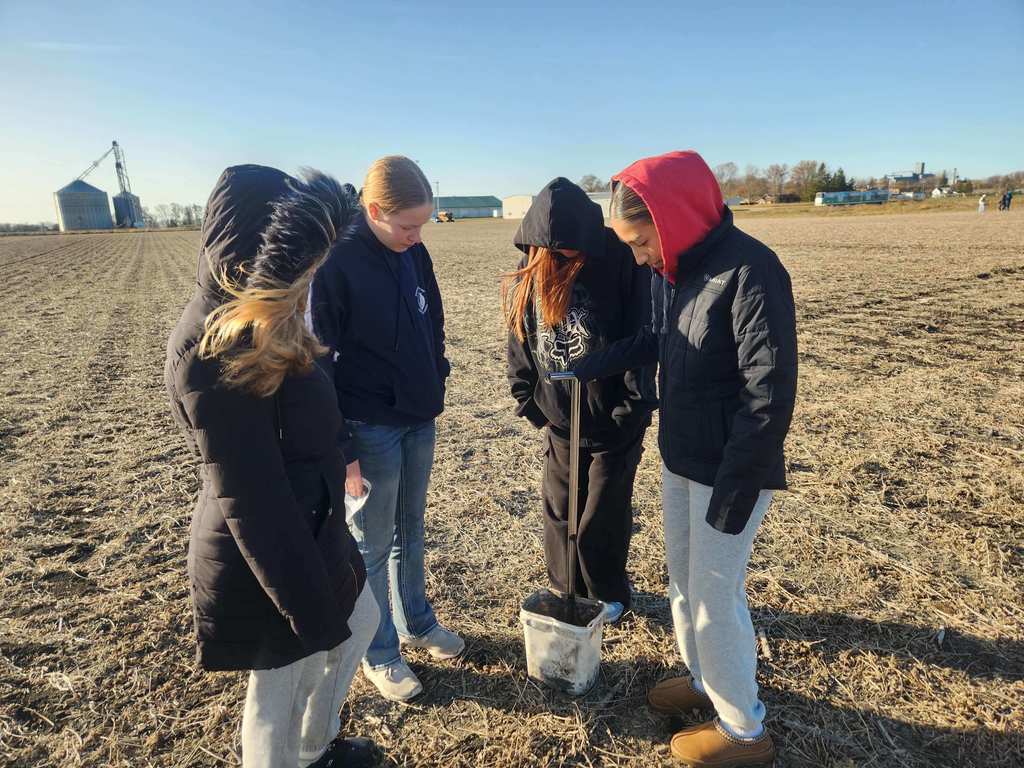 Soil sample activity