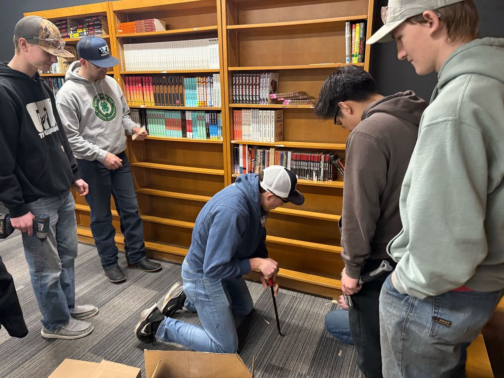 Students installing bookshelves