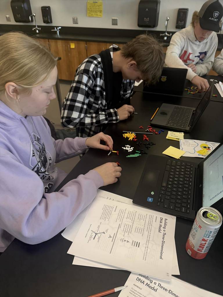 3D DNA Model activity in class
