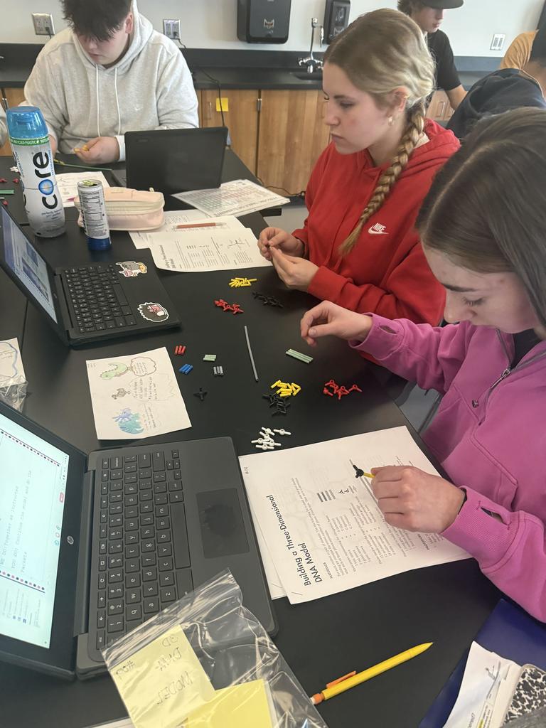 3D DNA Model activity in class