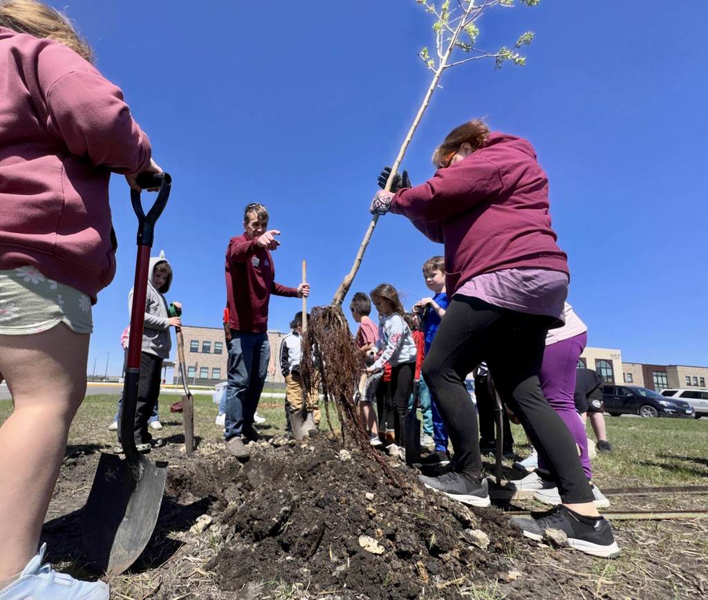 Students planting trees