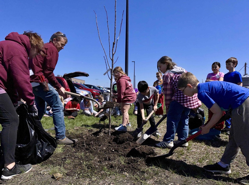 Students planting trees