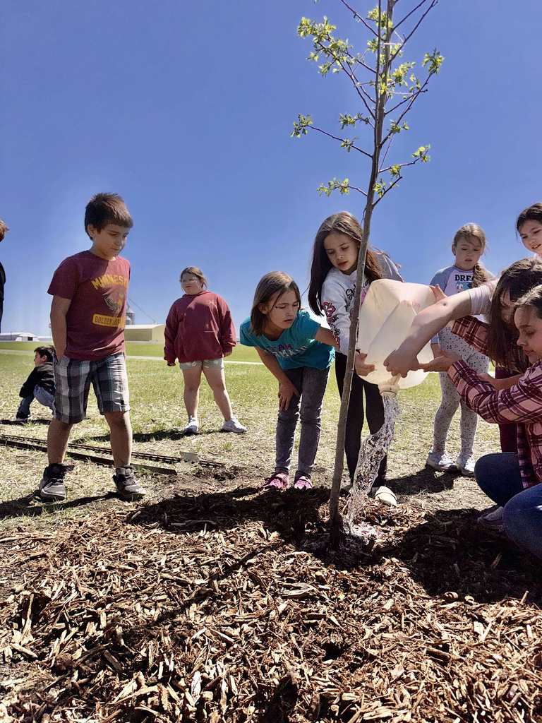 Students planting trees