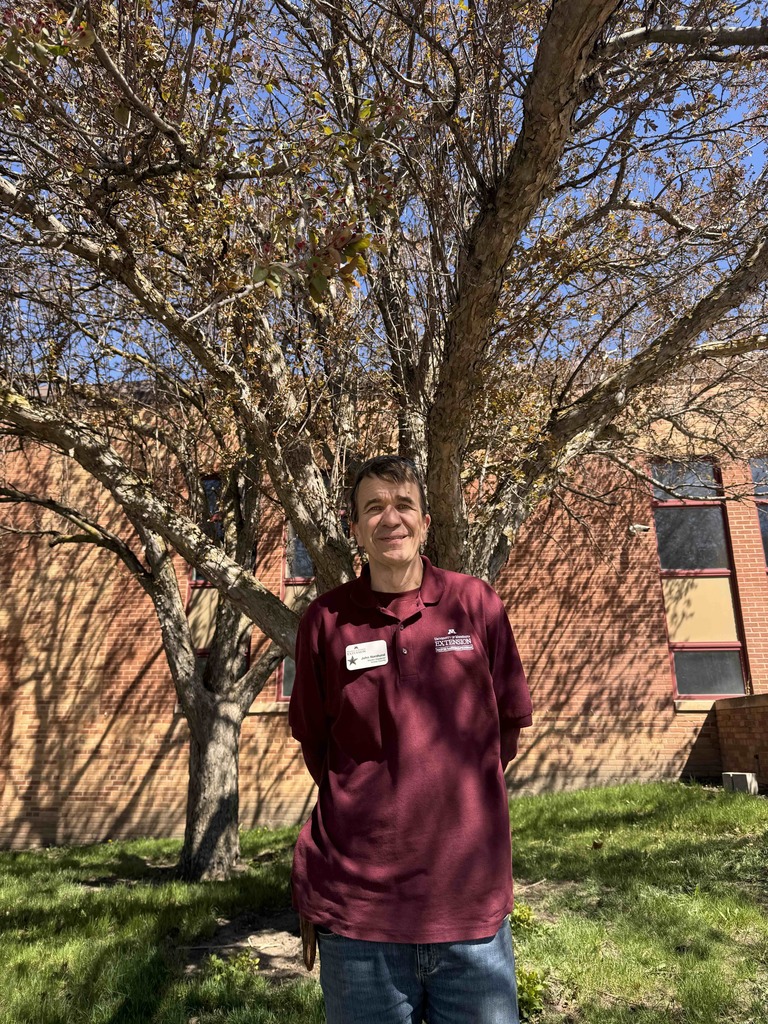 John  and a Tree