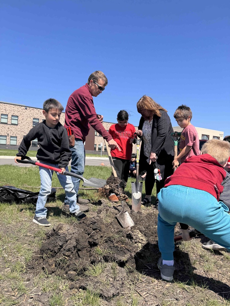 Students planting trees