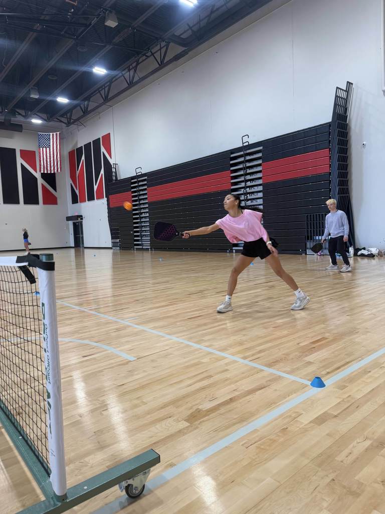 Pickle Ball Tournament