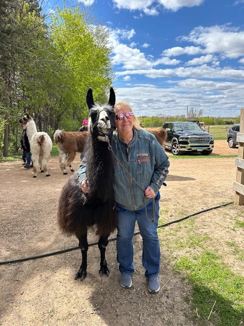 Bus driver and llama