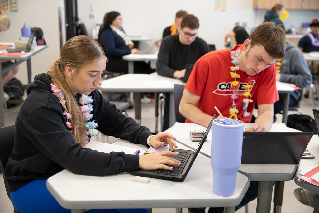 Students in class