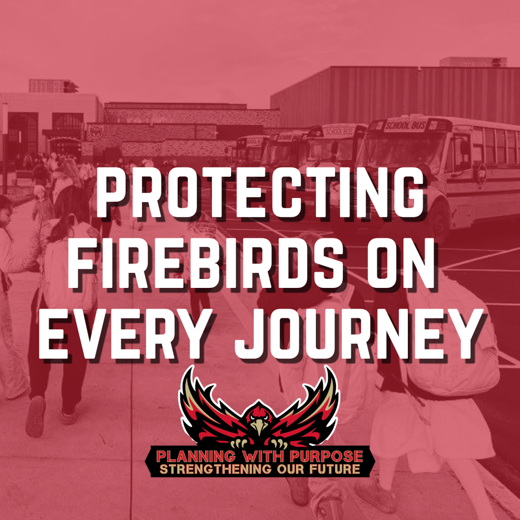 Protecting Firebirds on Every Journey
