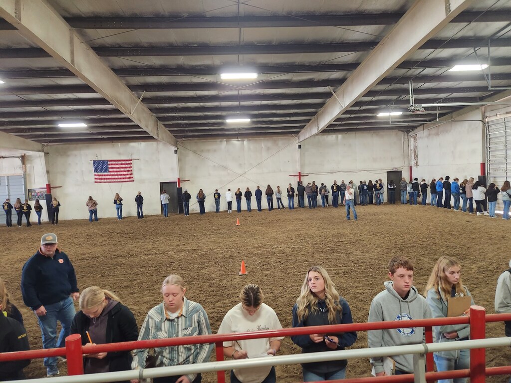 horse judging