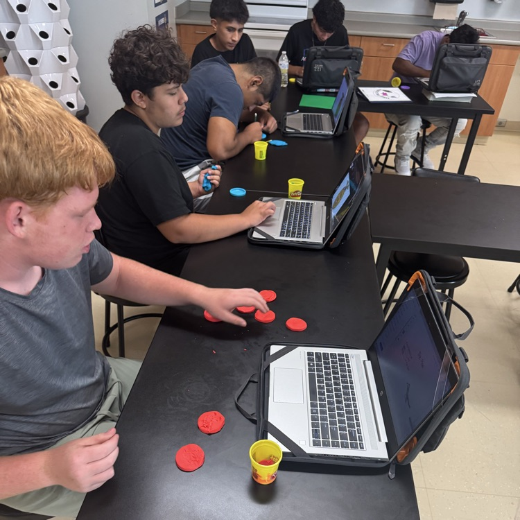 playdoh FFA emblem model