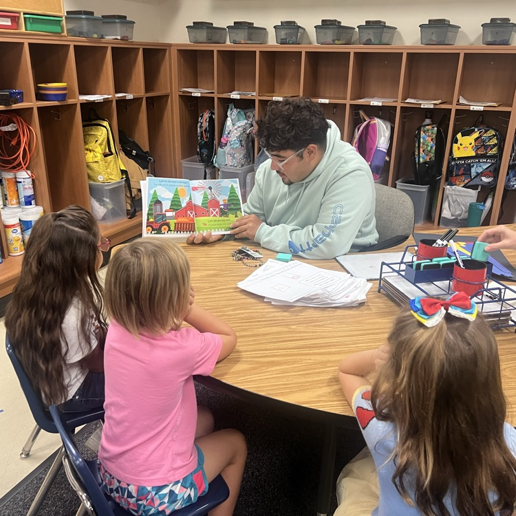 Elementary reading