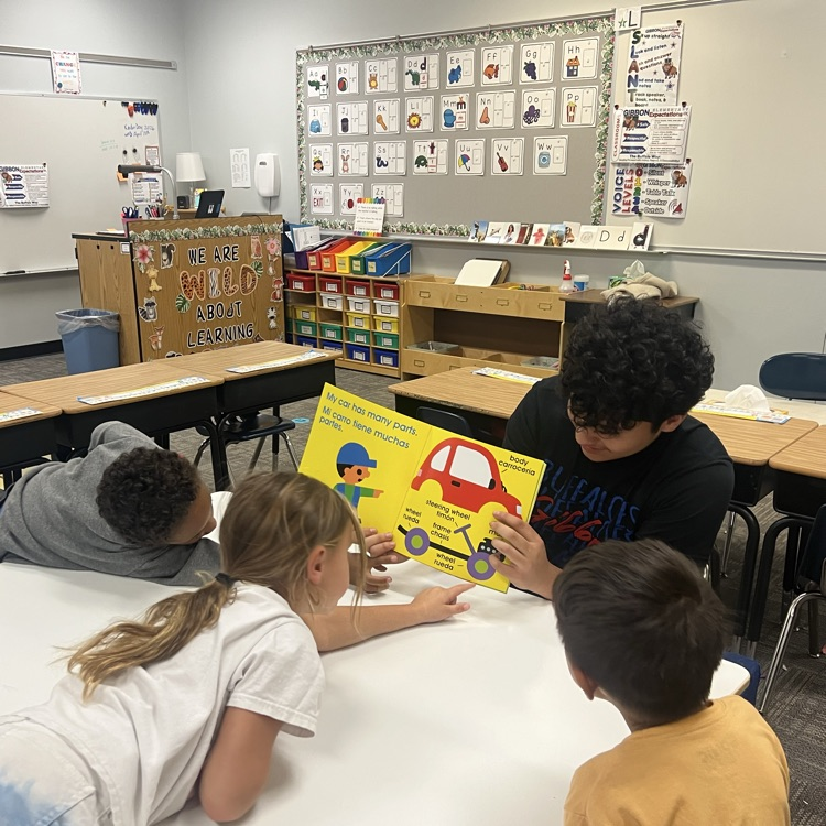 Elementary reading