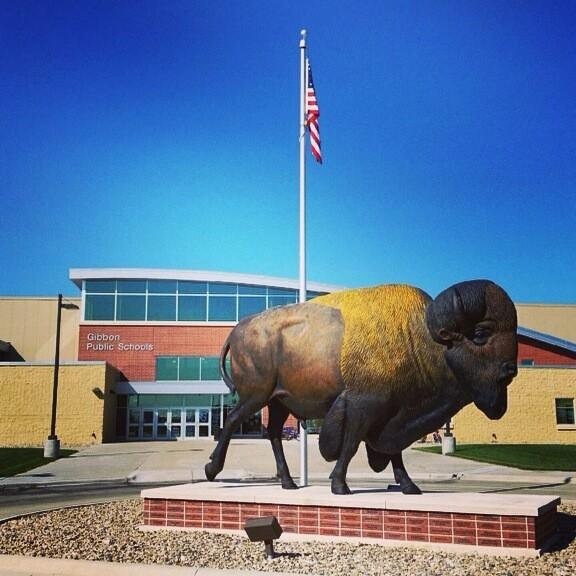 Buffalo2