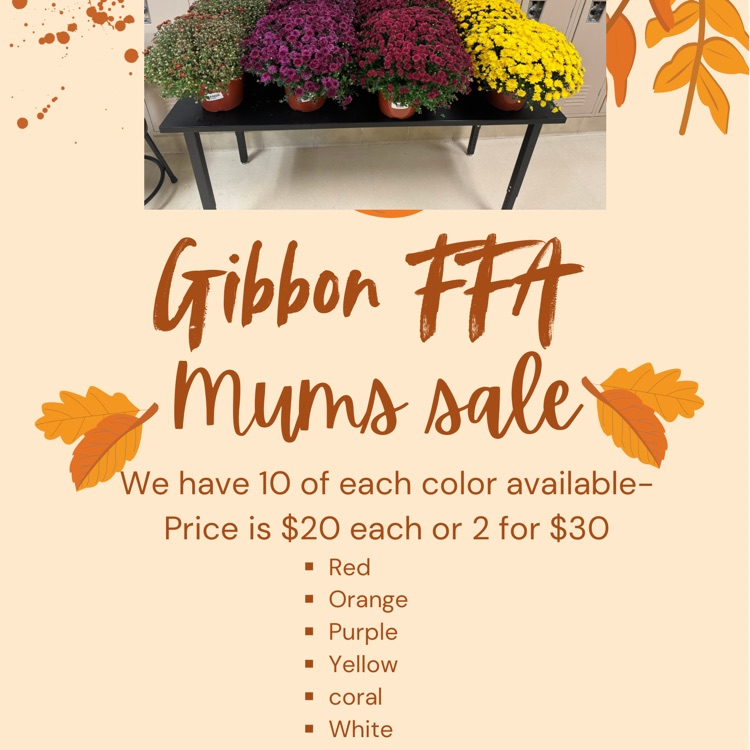 FFA mum sale