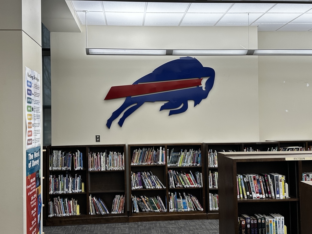 Elementary Library Buffalo