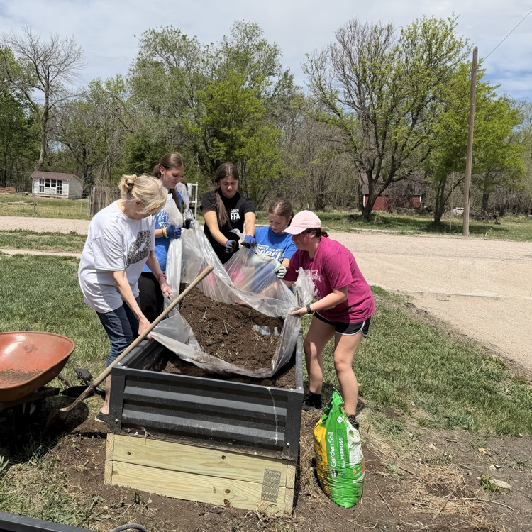 Community Service Day