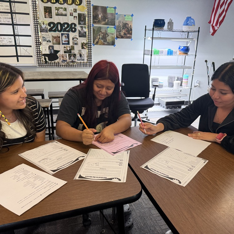 Students collaborating