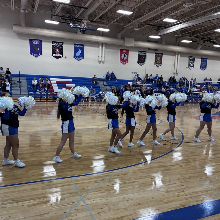 cheering at volleyball 