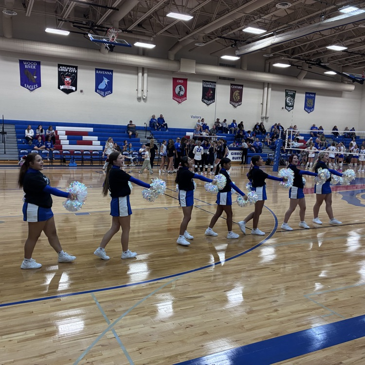 cheering at volleyball 