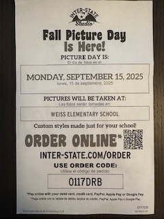 Picture Flyer