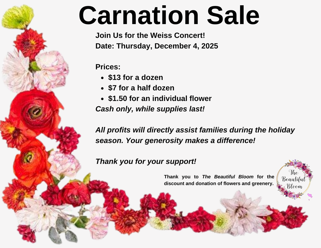Carnation Sale