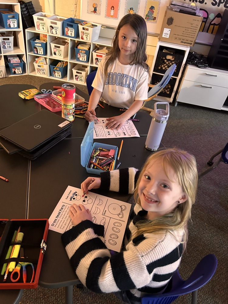 Elementary students sitting at desks creating and getting ready to plant grass as they begin their new unit on living things.