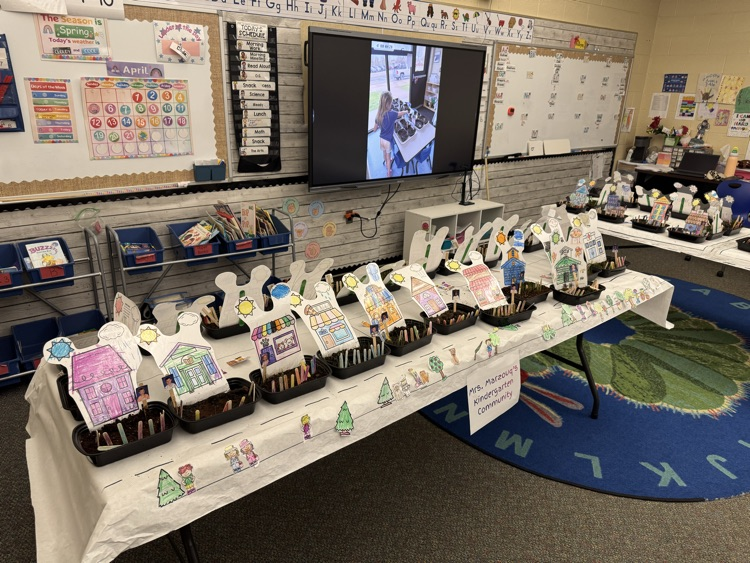 student STEM projects