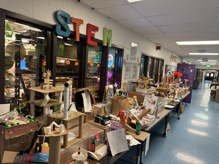 student STEM projects