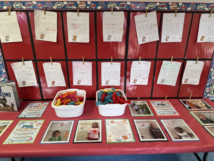 student project on making cat toys 