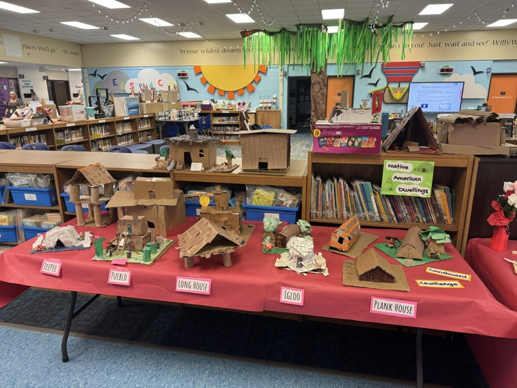 student STEM project 