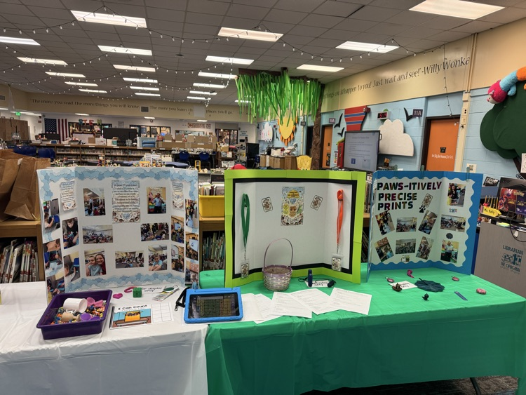 Student STEM project 