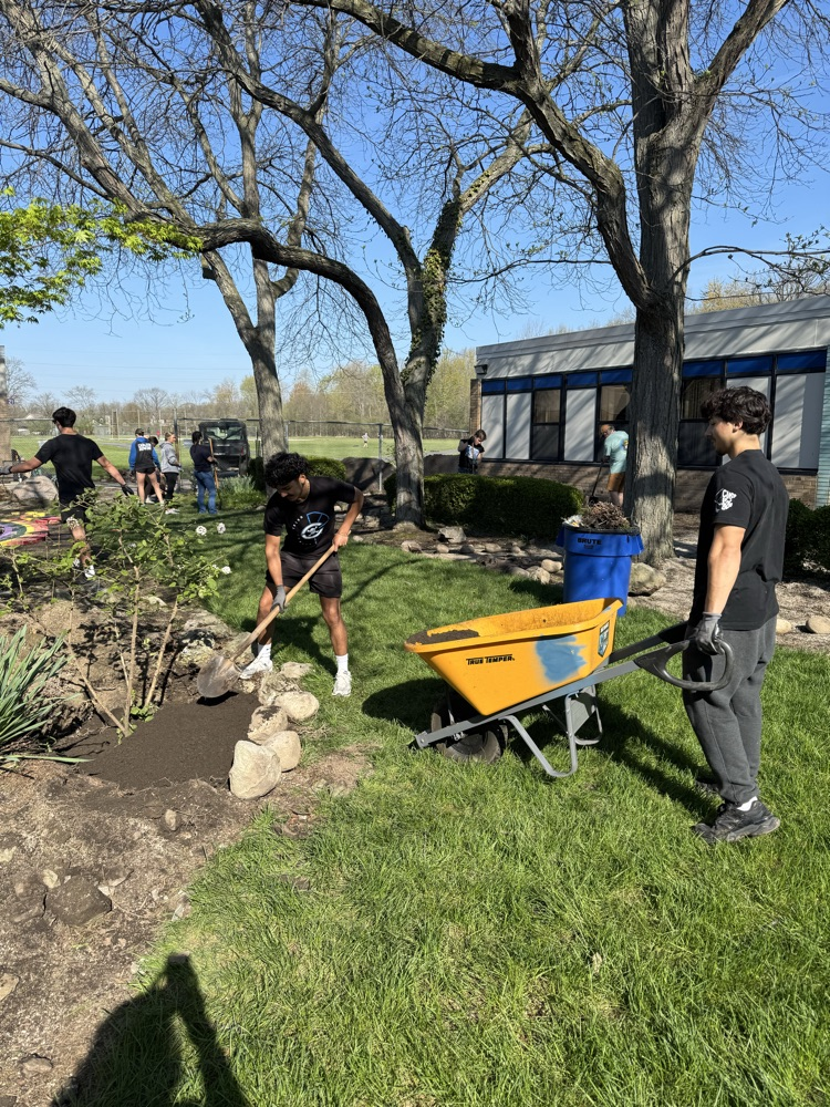 CHS Earth Club students spread mulch on a tree