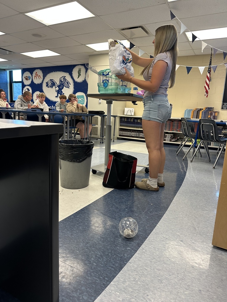 A student is standing in front of a hamster cage and showing how to place the bedding