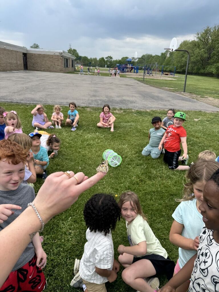 chapman kindergarten butterfly release