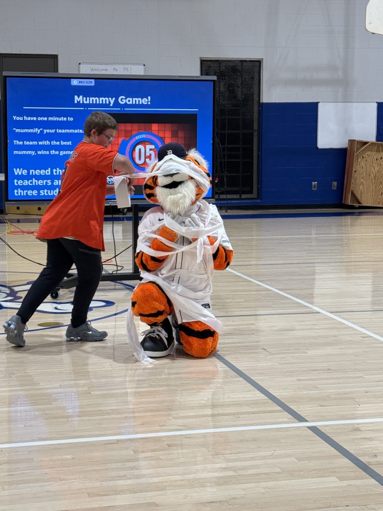 A student is making Paws into a mummy with toilet paper