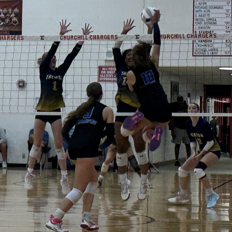 CHS at the net