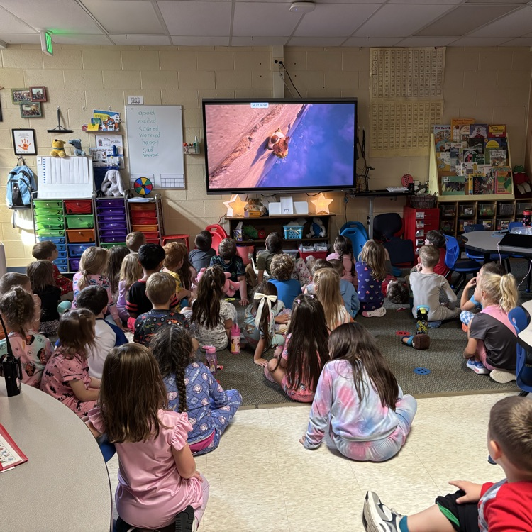 Students sit in their classroom enjoying snacks while watching a movie during Chapman’s PBIS Movie Theater.