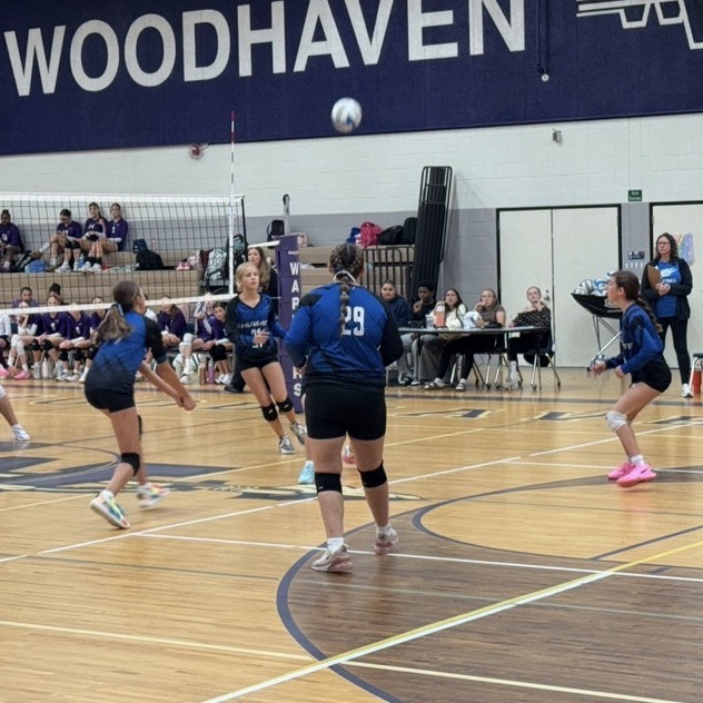 SMS volleyball 