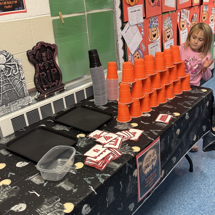 STEM activity