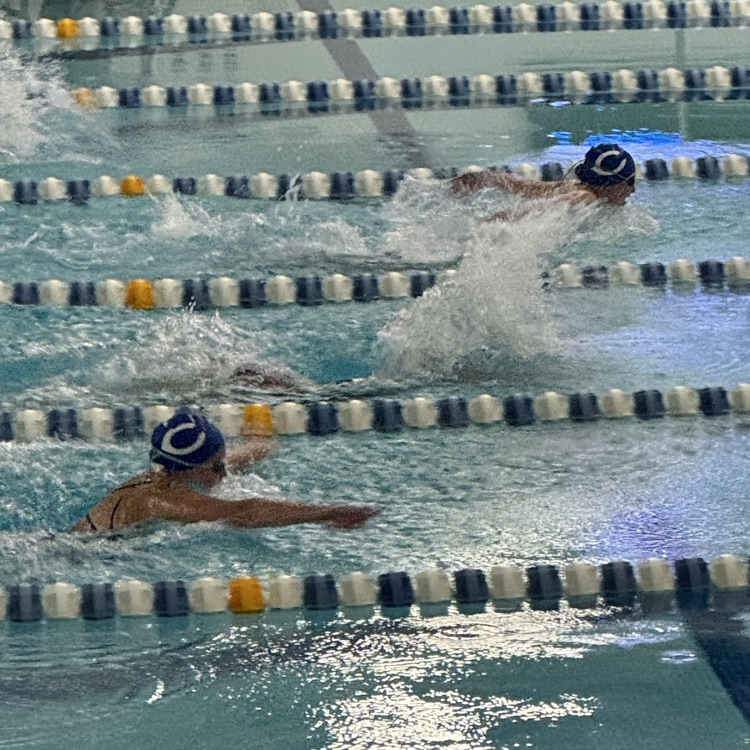 swim meet