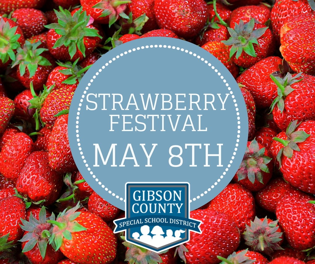 Strawberry Festival Day