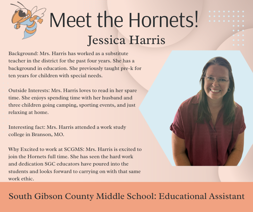 Meet The Hornets