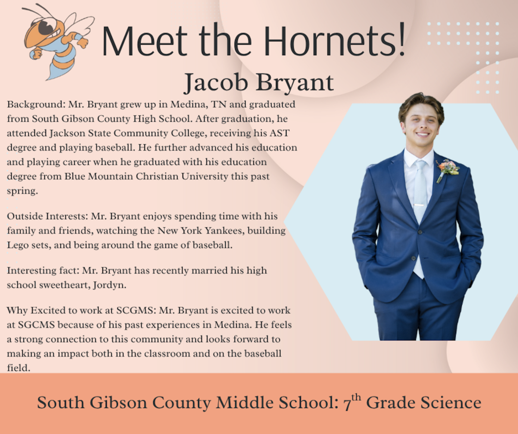 Meet The Hornets