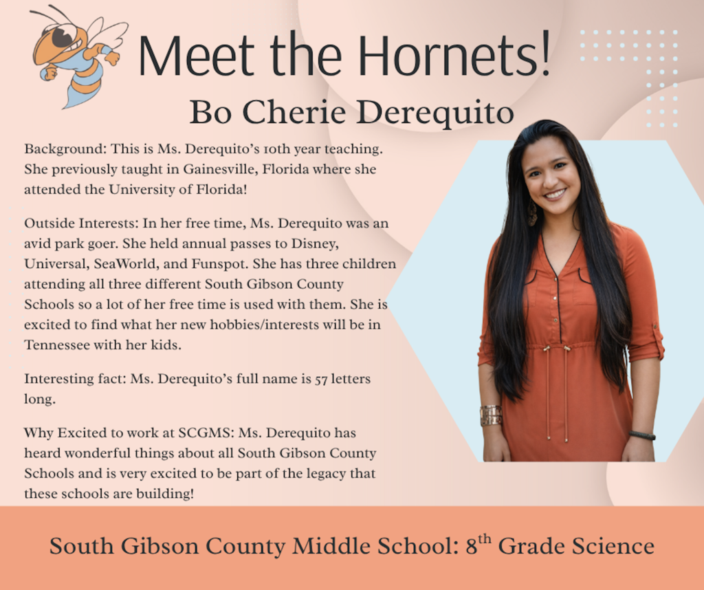 Meet the Hornets