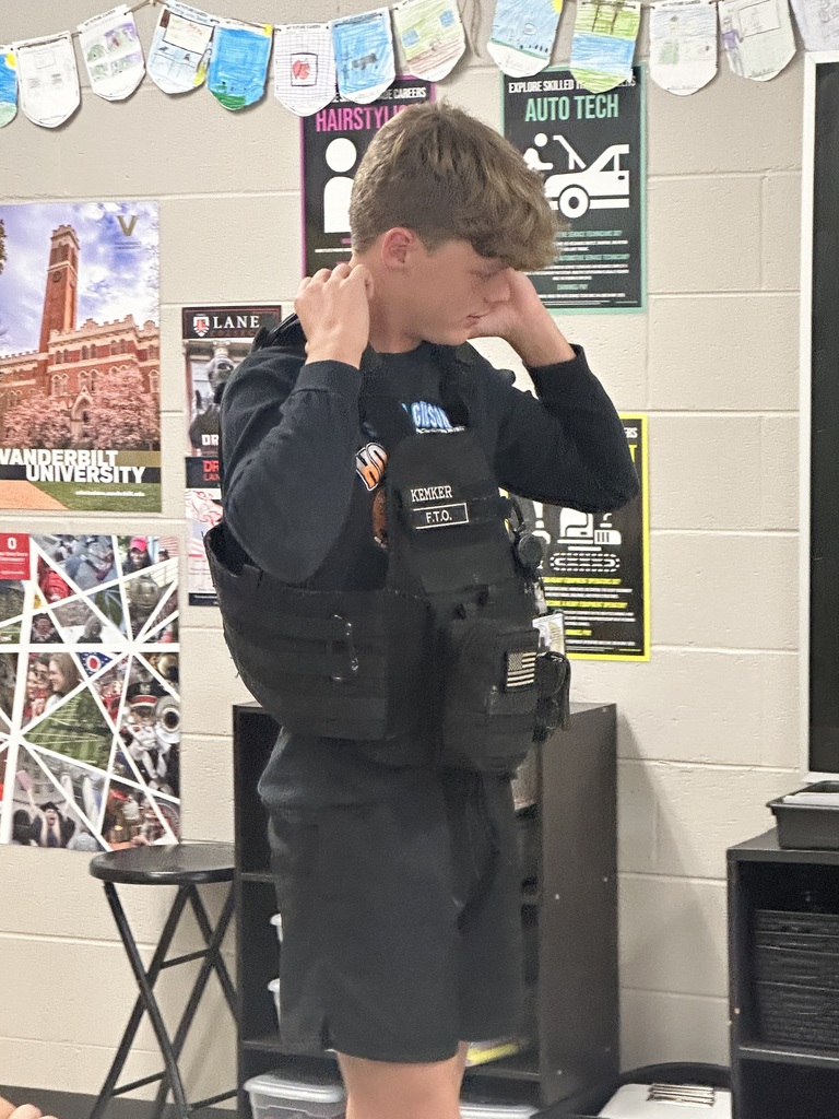 Career Exploration