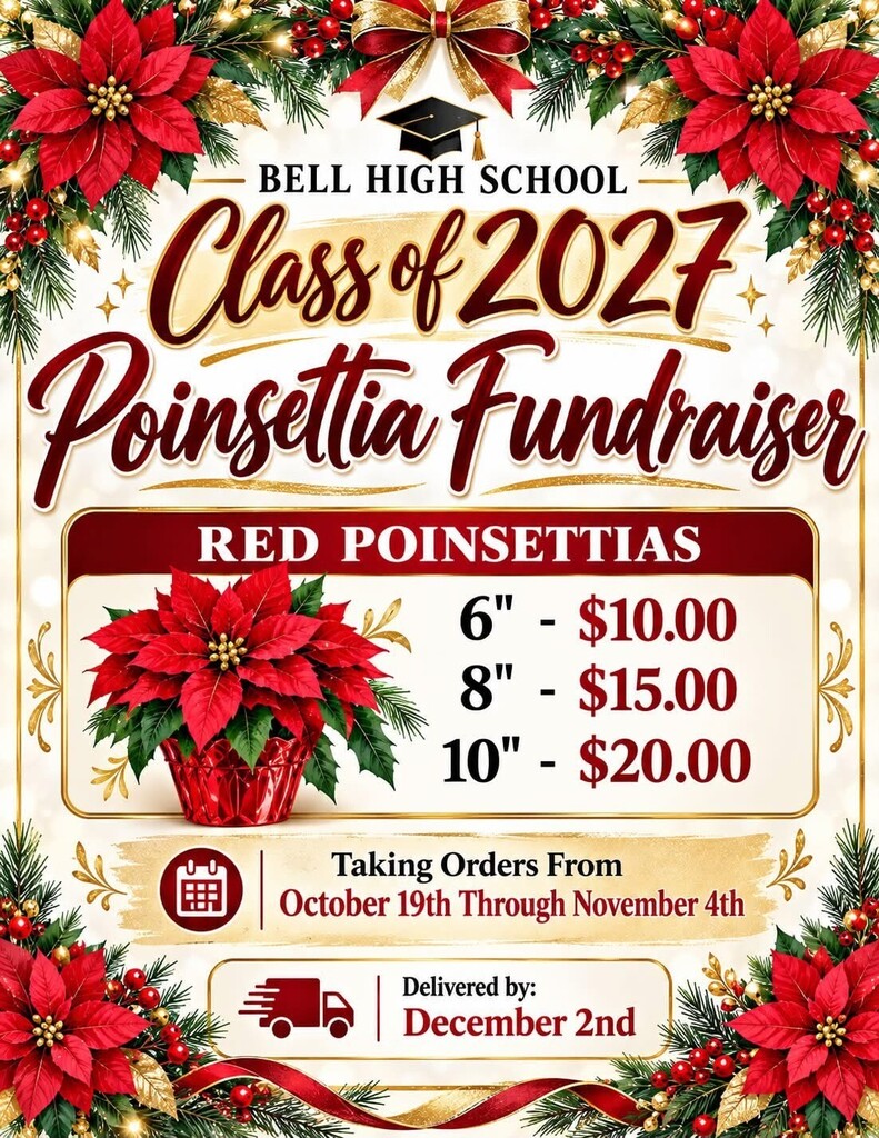 poinsettia