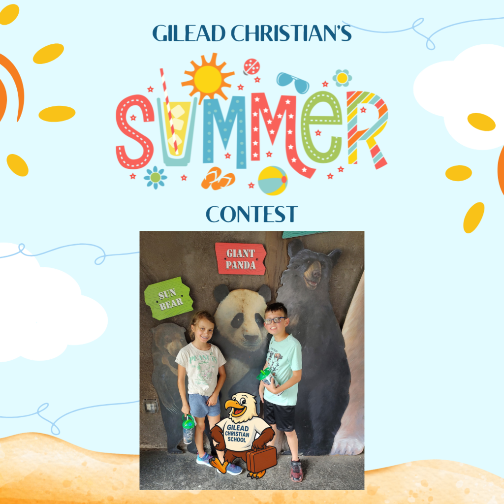 Summer Contest